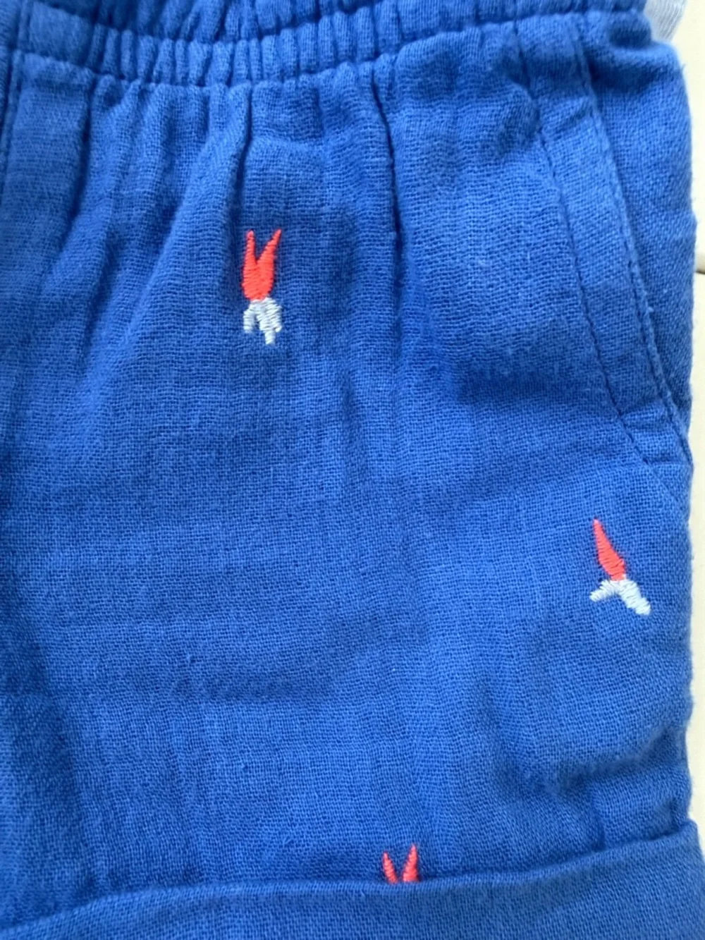 BabyGap Peter Rabbit 2 Piece Set Tshirt and Shorts Set Blue Size 0-3 Months